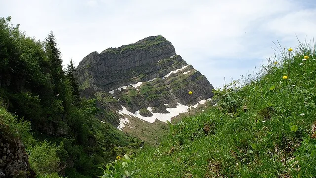 Speer, 1950 m, Glarner Voralpen, Schweiz